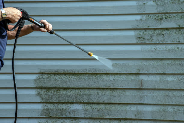 Best Roof Washing  in West Elmira, NY